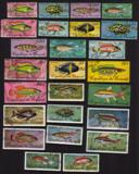 Tropical Fish: Congo Tetras, Jewel Cichlids, Snakehead, Etc. - Compete Set of 25 Different
