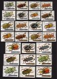 Various Beetles, Weevils & Bugs: Sternotomis Bohemani, Etc. - Complete Set of 25 Different
