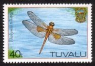 Dragonfly stamp from Tuvalu