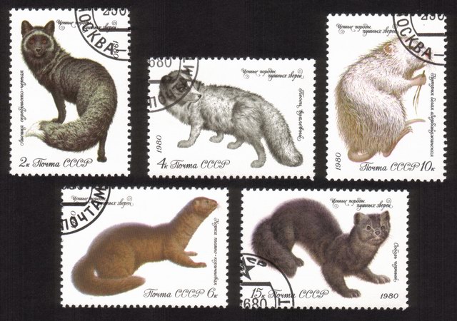 Animals: Polar Fox, Mink, Azerbaijan Nutria, Black Sable, Etc. - Complete Set of 5 Different