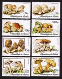 Mushrooms: Collybia Fusipes, Boletus Edulis, Lepiota Procera, Etc. Complete Set of 8 Different