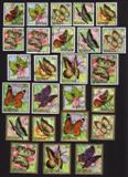 Butterflies: Papilio Zenobia, Salamis Temora, Etc - Complete Set of 25 Different