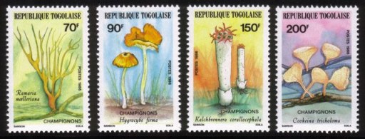 Mushrooms - Complete Set of 4 Different