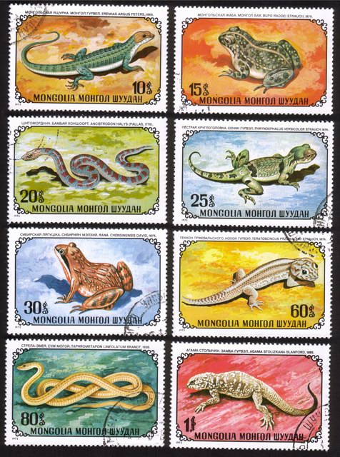 Reptiles - Snakes, Frogs, Lizards, etc - Complete Set of 8 Different