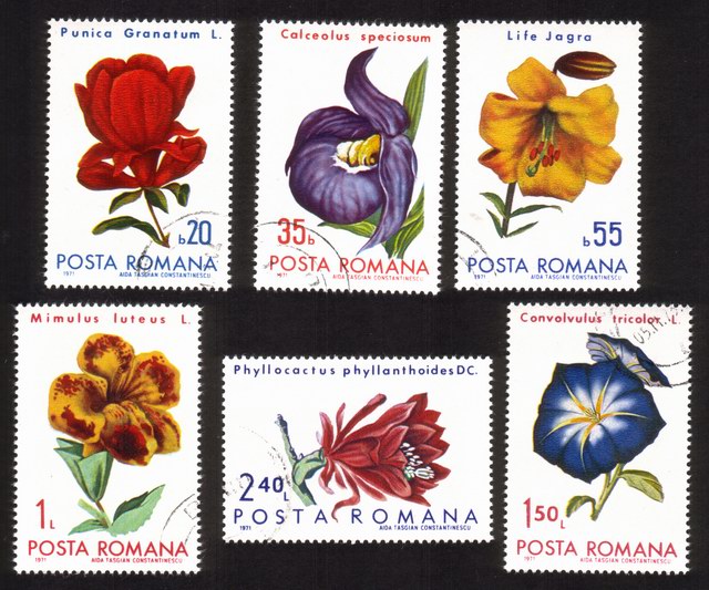 Flowers: Morning Glory, Leaf Cactus, Pomegranate, Lily, Etc. Complete Set of 6 Different