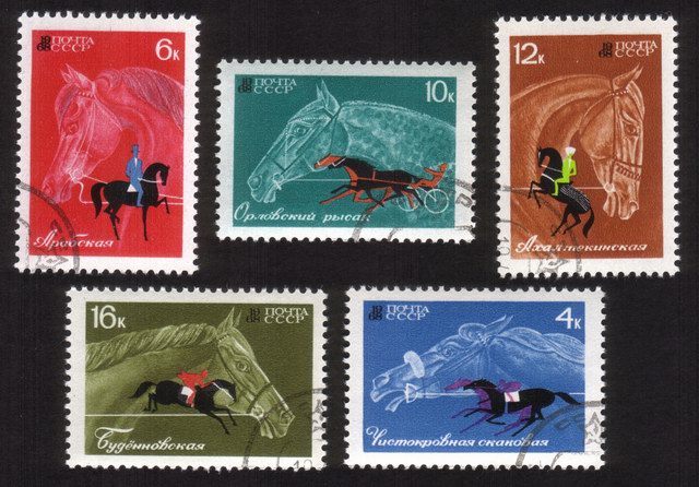 Horse Breeding: Trotters, Race Horses, Etc. - Complete Set of 5