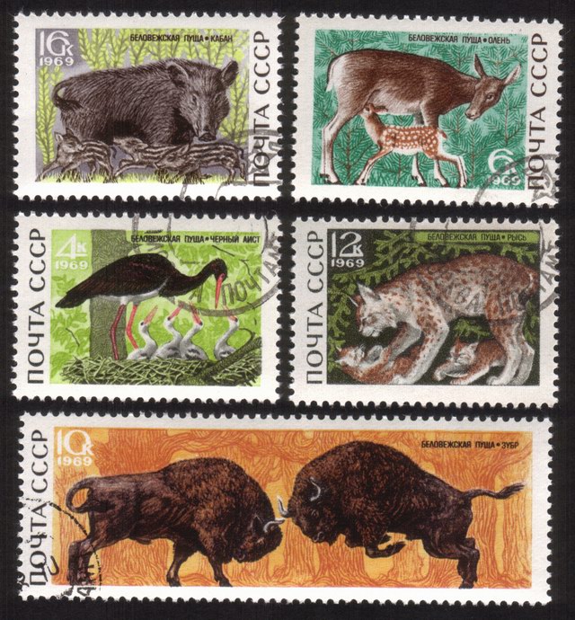 Forest Wildlife: Black Stork, Wild Pig & Piglets, Etc. - Complete Set of 5 Different
