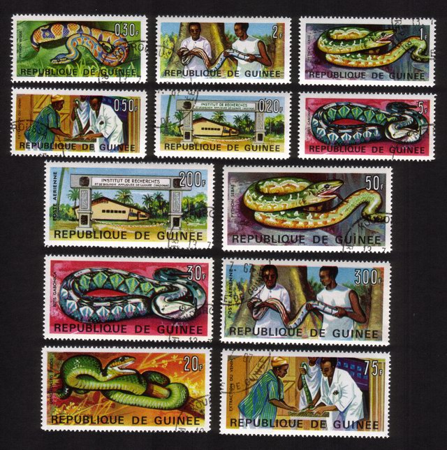 Various Snakes, Vipers, Pythons, Etc. - Complete Set of 12 Different