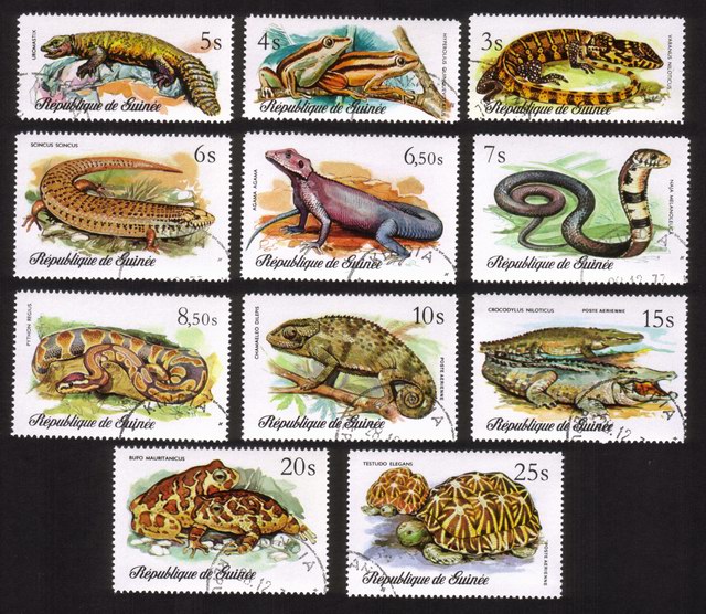 Reptiles & Snakes: Tortoises, Crocodiles, Toads, Skinks, Etc. - Complete Set of 11 Different