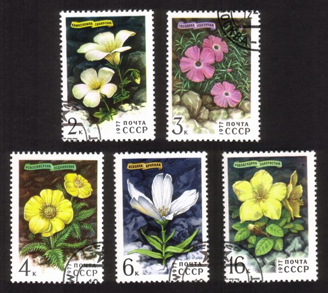 Siberian Flowers: Golden Rhododendron, Dianthus Repena, Etc. - Complete Set of 5 Different