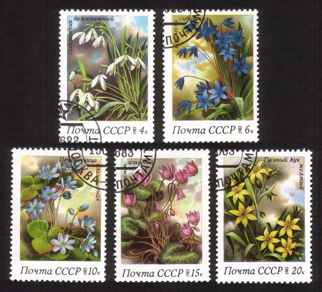 Flowers - Complete Set of 5 Different