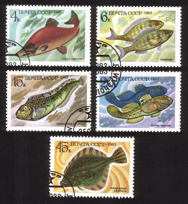 Food Fish: Salmon, Spotted Wolffish, Perch, Flounder, Etc. - Complete Set of 5 Different