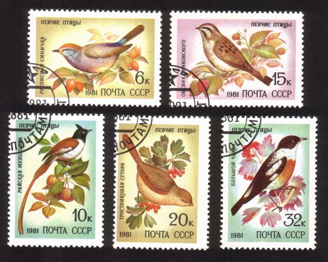 Song Birds: Siberian Tit, Saxicola Torquata, Flycatcher, Etc. - Complete Set of 5 Different