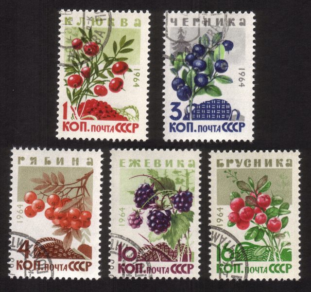Wild Berries: European Cranberries, Mountain Ash, Huckleberries, Etc. - Complete Set of 5 Different