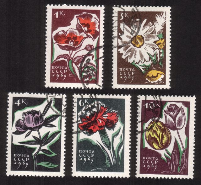 Flowers: Poppies, Daisies, Peony, Carnations, Tulips - Complete Set of 5 Different