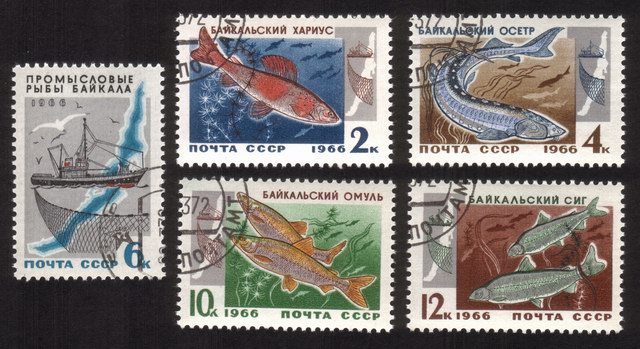 Fish Resources of Lake Baikai: Sturgeon, Trawler, Grayling, Etc. - Complete Set of 5 Different