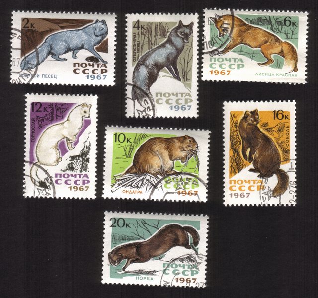 International Fur Auctions In Leningrad: Ermine, Sable, Mink, Etc. - Complete Set of 7 Different