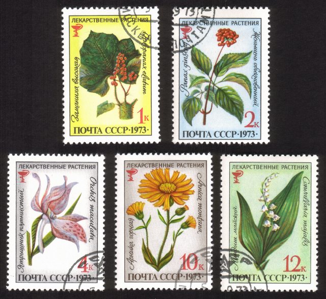 Medicinal Plants: Ginseng, Echinopanax Elatum, Etc. - Complete Set of 5 Different