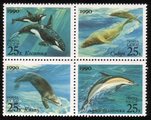 Sealife: Killer Whales, Northern Sea Lions, Sea Otter, Dolphin - Complete Set of 4 Different