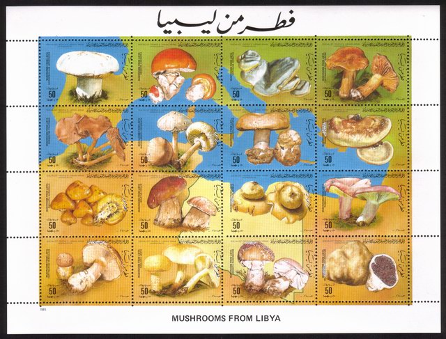 Mushrooms: Amanita Rubenscens, Etc. Complete Miniature Sheet of 16 Different
