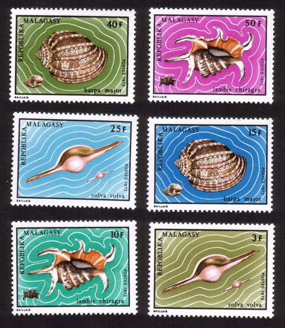Shells: Volva Volva, Lambis Chiragra, Harpa Major, Etc. - Complete Set of 6 Different