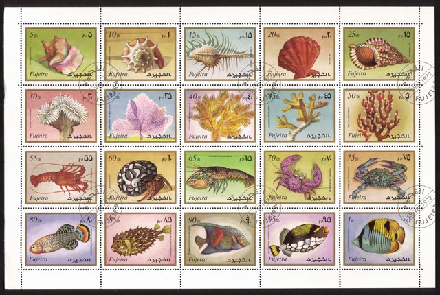 Sealife: Fish, Lobster, Shells, Crabs, Coral, Etc. - Complete Set of 20 Different