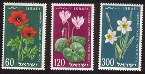 Flowers: Cyclamen, Anemone, Narcissus - Complete Set of 3 Different