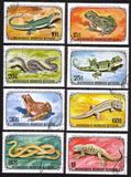 Reptiles - Snakes, Frogs, Lizards, etc - Complete Set of 8 Different