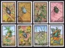 Insects, Bugs & Beetles: Complete Set of 8 Different
