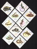 Reptiles: Lizards, Worms, Snakes, Turtles, Etc. Complete Set of 10 Different