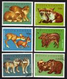 Young Animals: Lynx, Foxes, Roe Fawns, Wild Pigs, Wolves, Bears. Complete Set of 6 Different