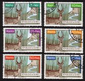 Defassa Waterbuck: Various Colored Artistic Backgrounds - Complete Set of 6 Different