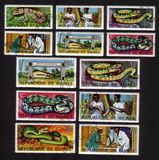 Various Snakes, Vipers, Pythons, Etc. - Complete Set of 12 Different