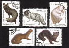 Animals: Polar Fox, Mink, Azerbaijan Nutria, Black Sable, Etc. - Complete Set of 5 Different