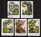 Flowers - Complete Set of 5 Different