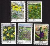 Regional Flowers: Polar Poppies, Globeflowers, Buttercups, Etc. - Complete Set of 5 Different