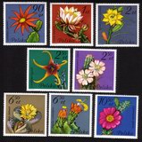 Flowering Succulent Plants: Complete Set of 8
Different.